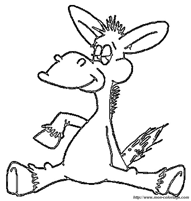 picture donkey1