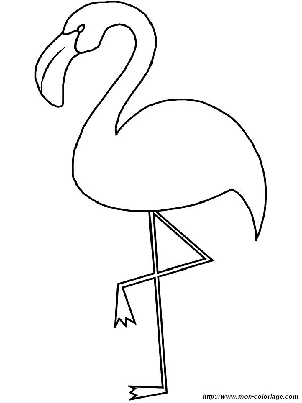 picture a flamingo