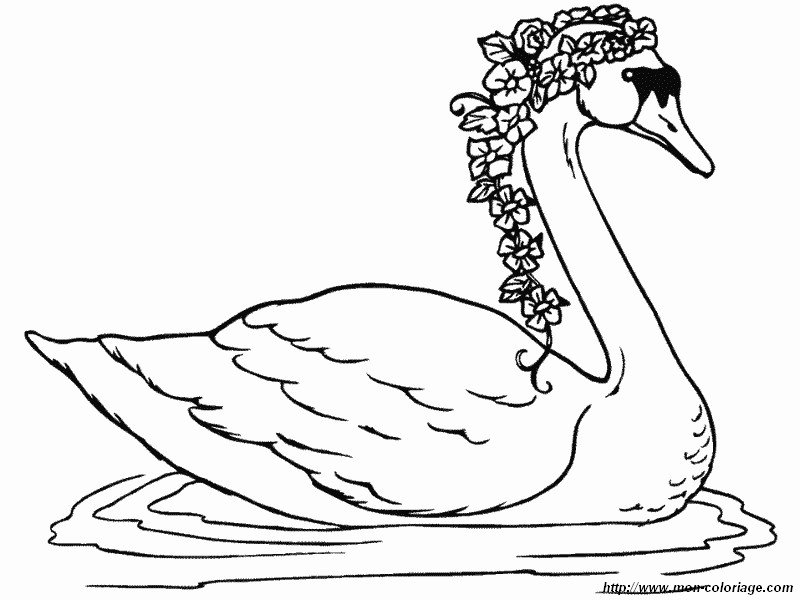 picture swan with flowers