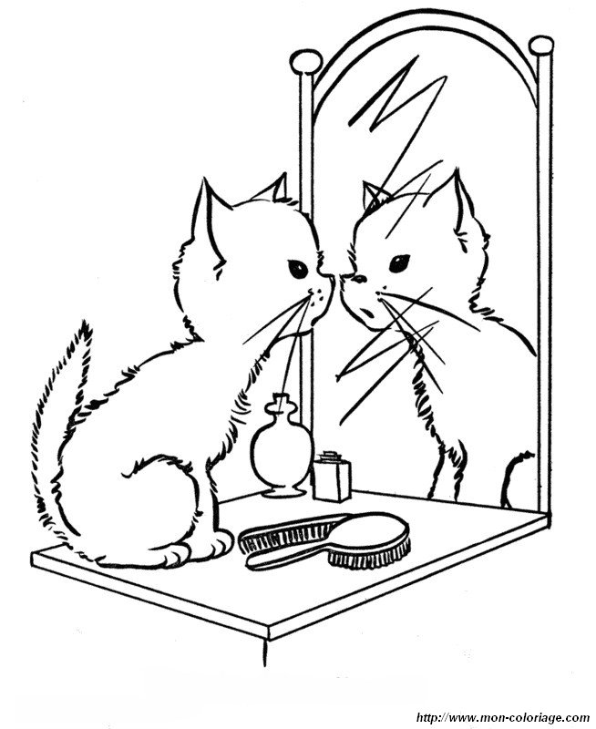 picture a kitten in front of a mirror