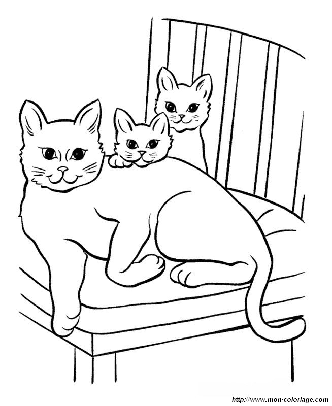 picture a mother cat and her children