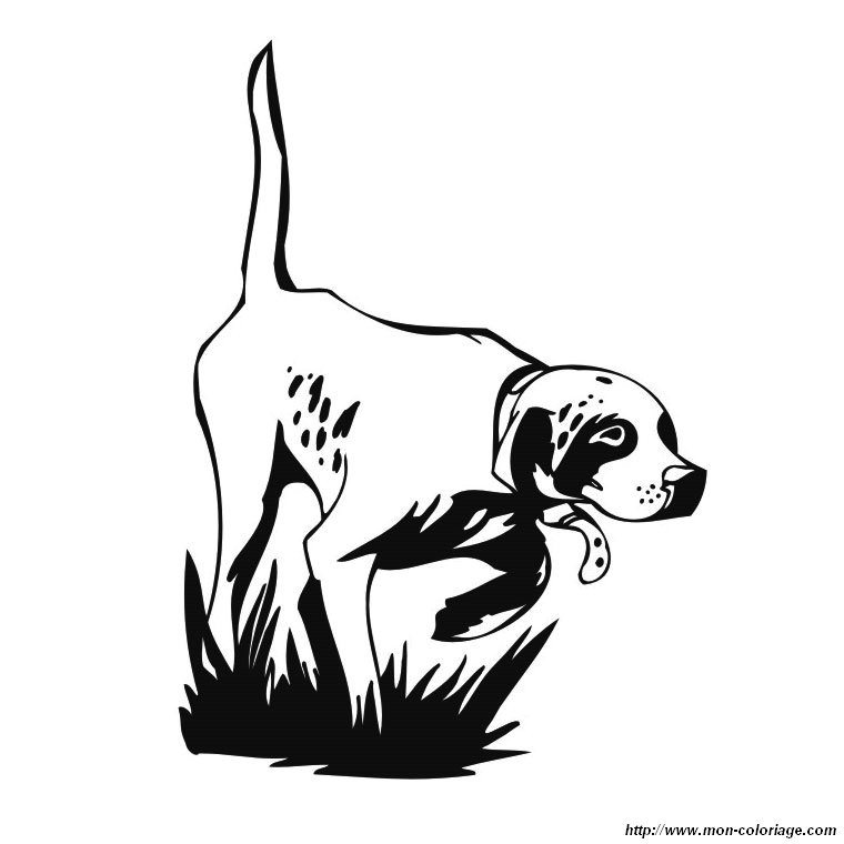 Hd Wallpapers Coloring Pages Hunting Dogs Aemobilewallpapersh Cf Free High