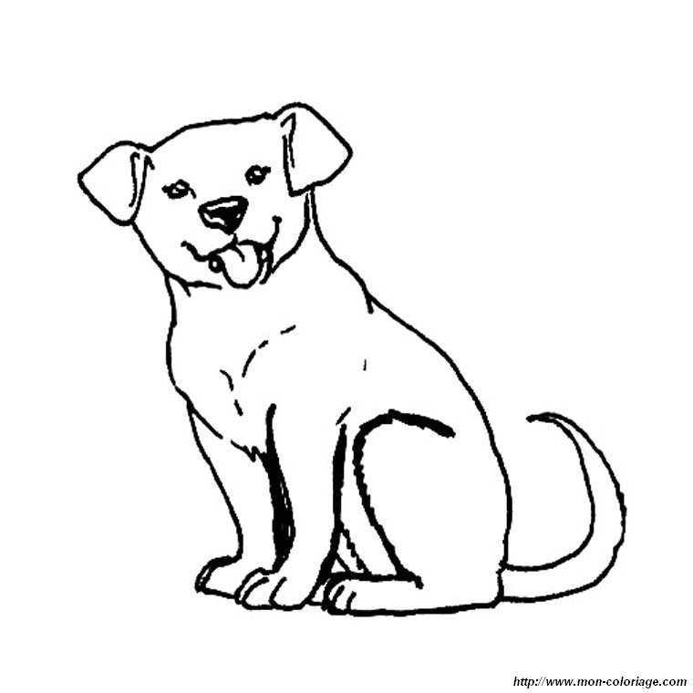 labador coloring pages - photo #25