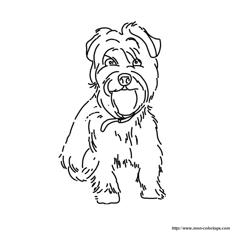 yorkie puppies coloring pages - photo #26