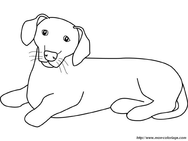 dachshund coloring pages - photo #28