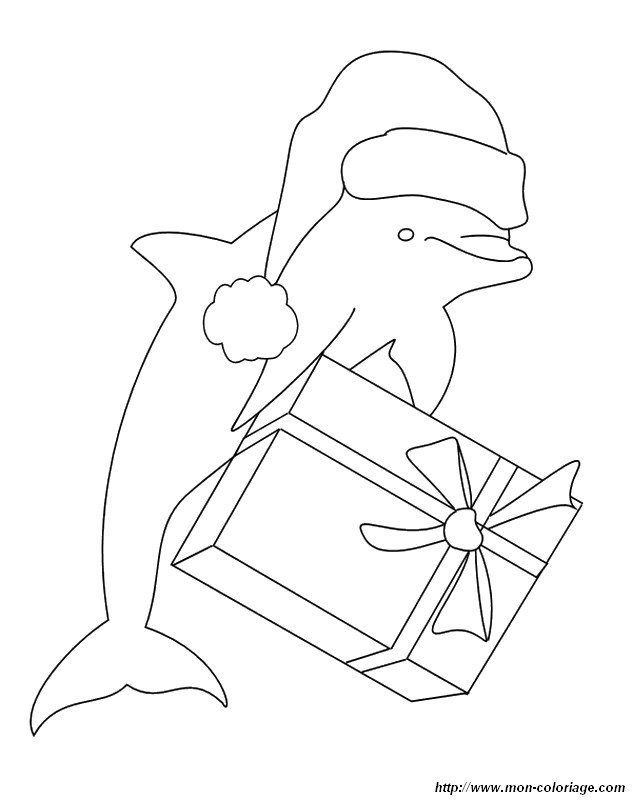 picture santa claus and dolphin