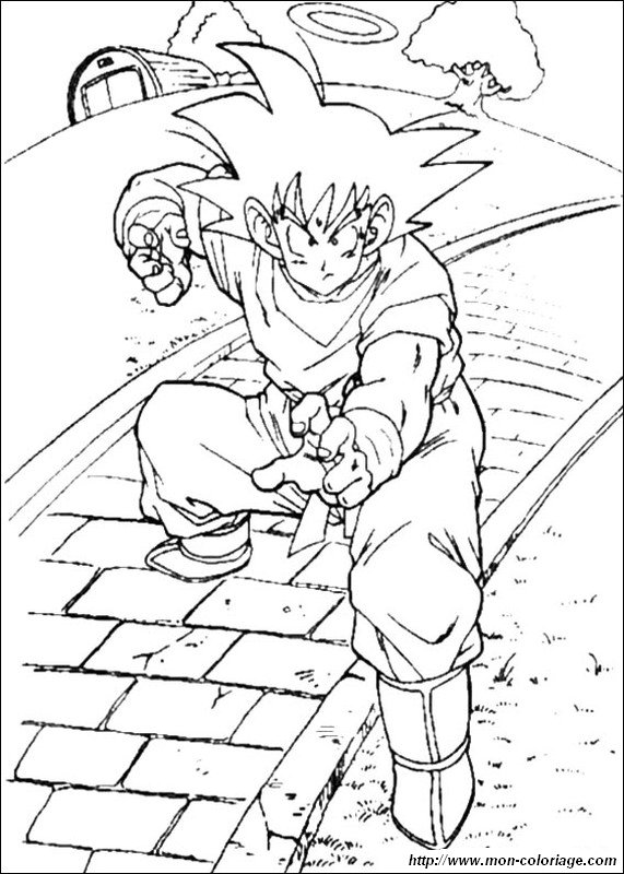 picture goku