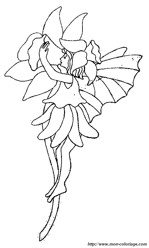 picture flower fairy