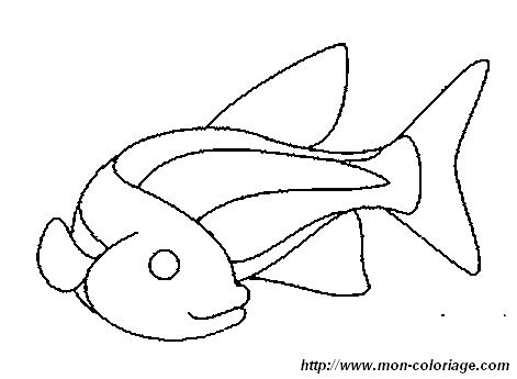 picture fish7