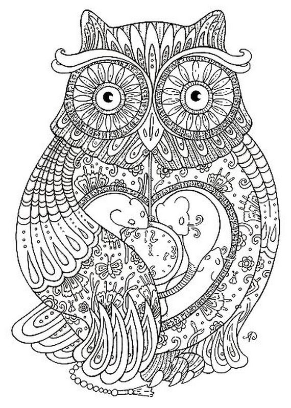 coloring For adults, page A very detailed owl