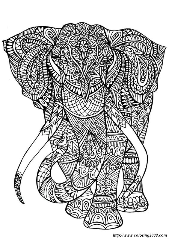 picture Elephant coloring pages