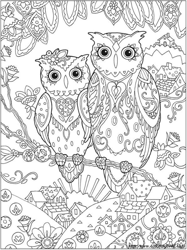 picture Owls Couple