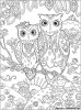 Owls Couple