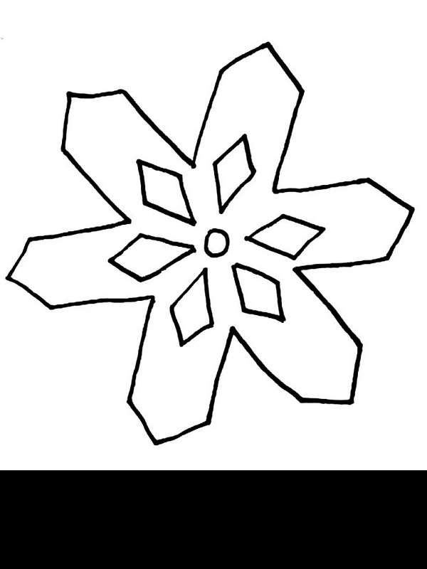 picture snowflake2