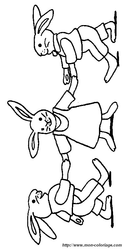 picture rabbit5