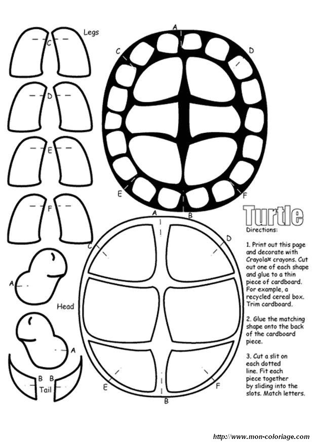 picture turtle