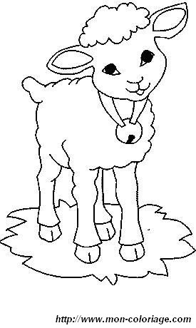 picture 1 sheep