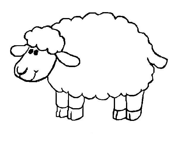 picture big sheep
