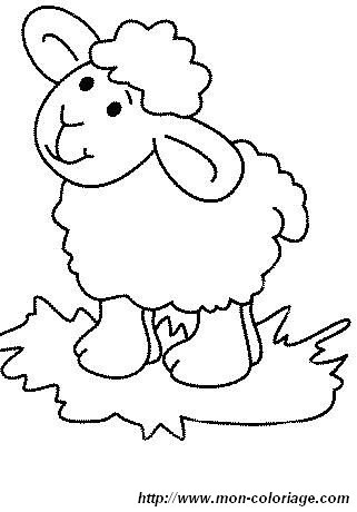 picture sheep 2
