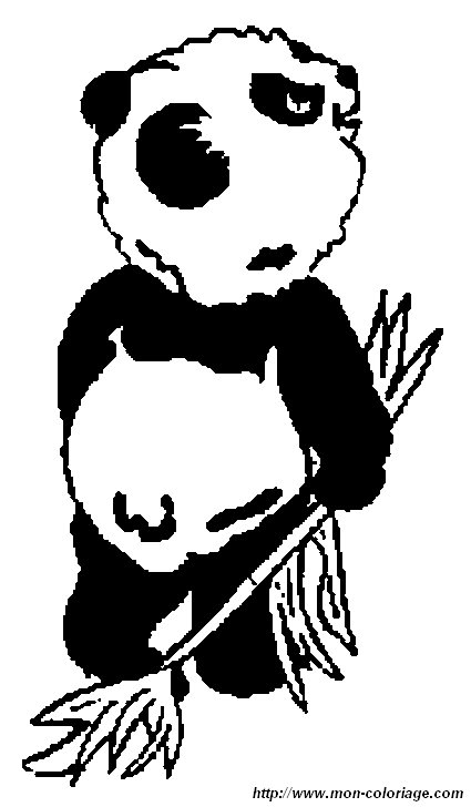 picture panda5