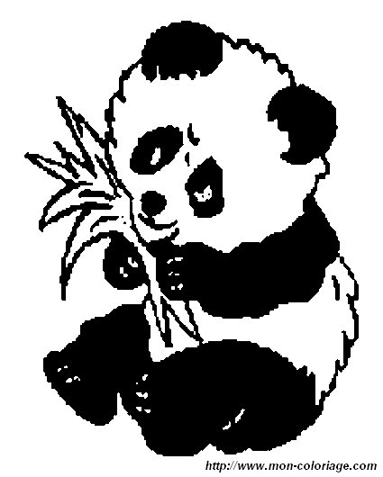 picture panda6