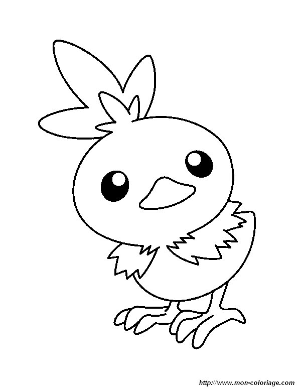 picture pokemon little bird