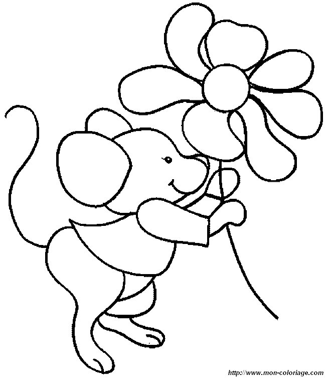 picture flower mouse