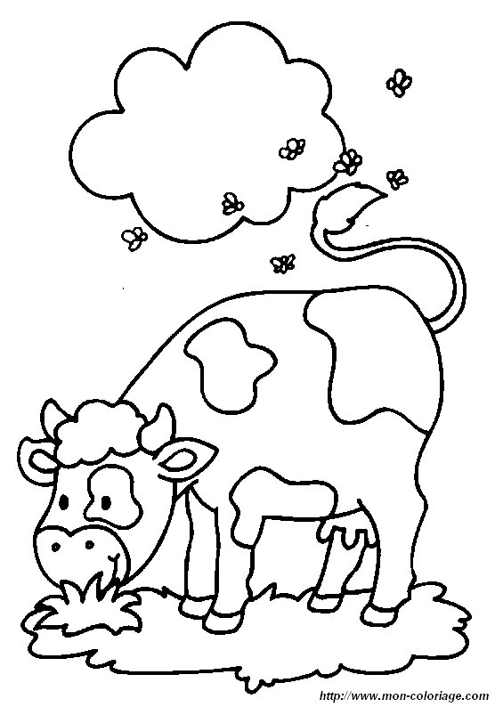 picture a cow