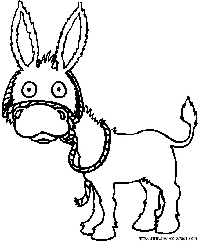 picture a donkey