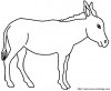 donkey 12