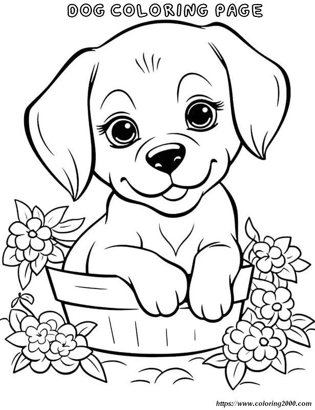 picture A cuty dog to color