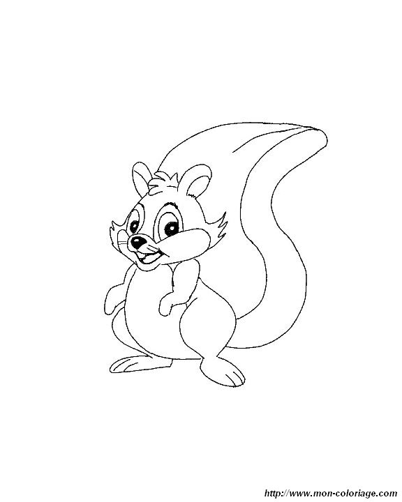 picture a squirrel