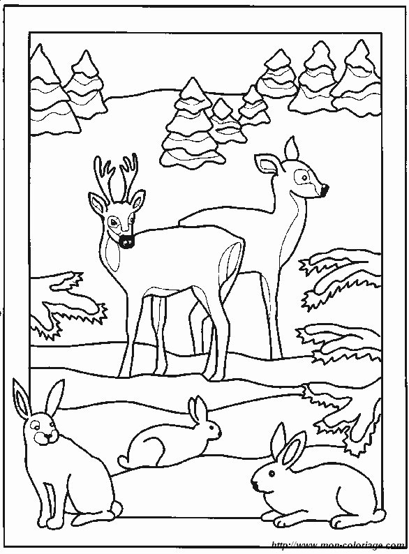 picture a deer