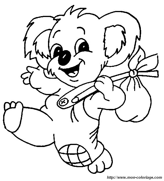 picture koala8