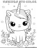 The unicorn accompanies your child in his first steps