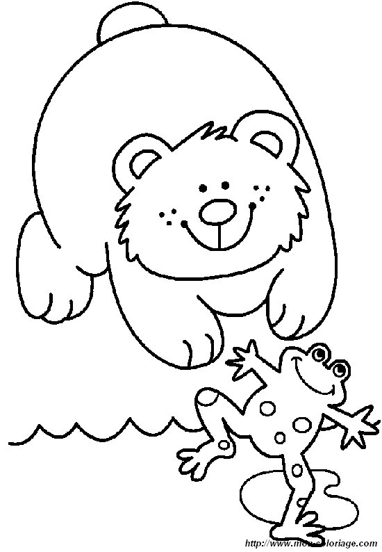picture bear20