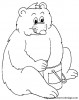 bear 2