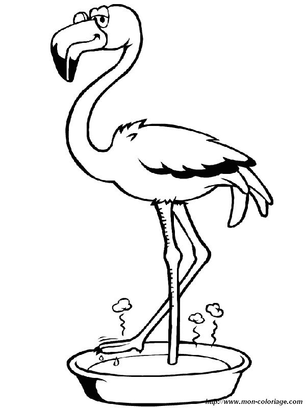 picture a pink flamingo