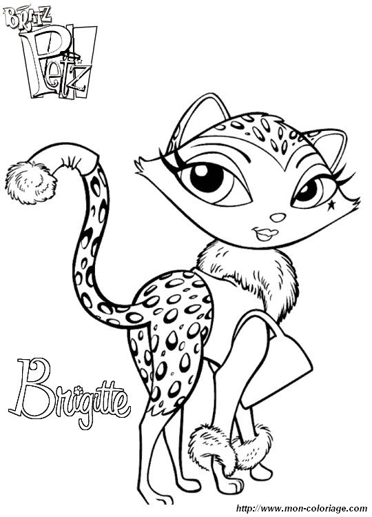 picture cat brigitte