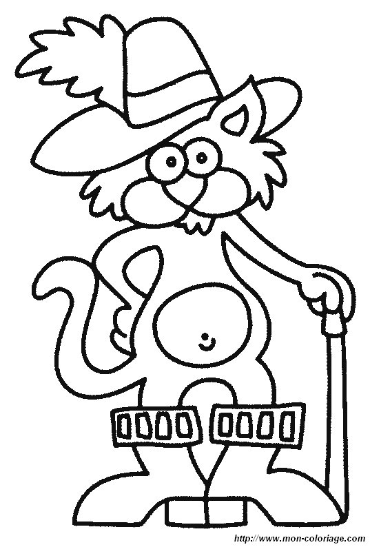picture dartagnan cat