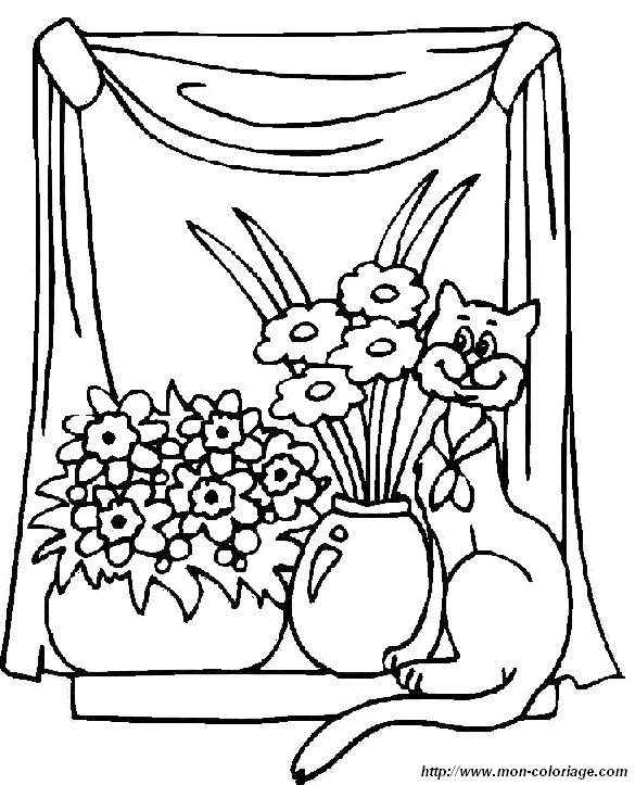 picture flowers cat