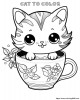 This little cat is adorable