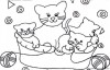 three cats