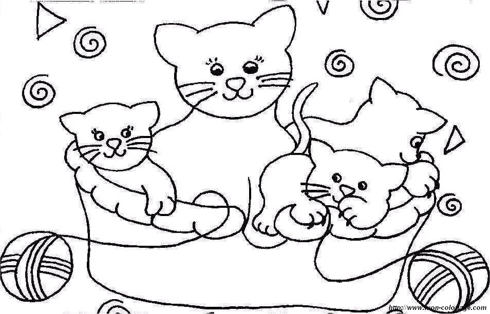 picture three cats