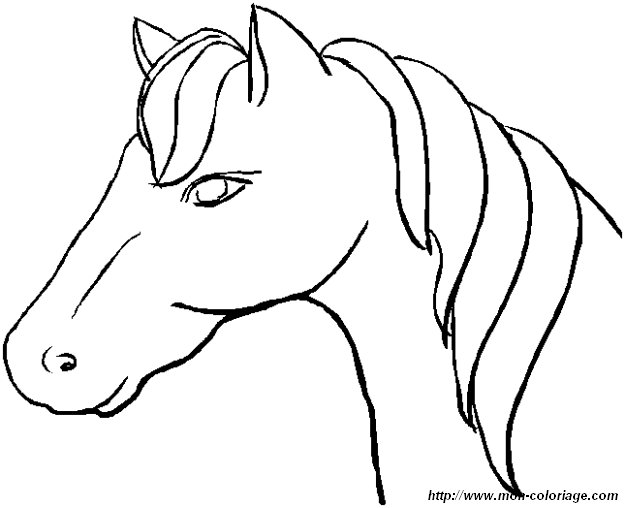 picture 1 horse