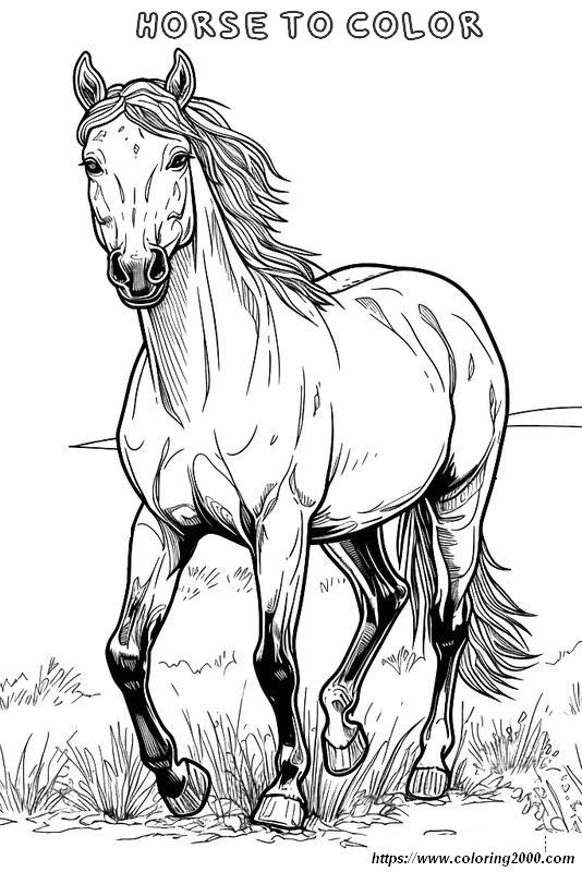 picture This horse is a magnificent breed