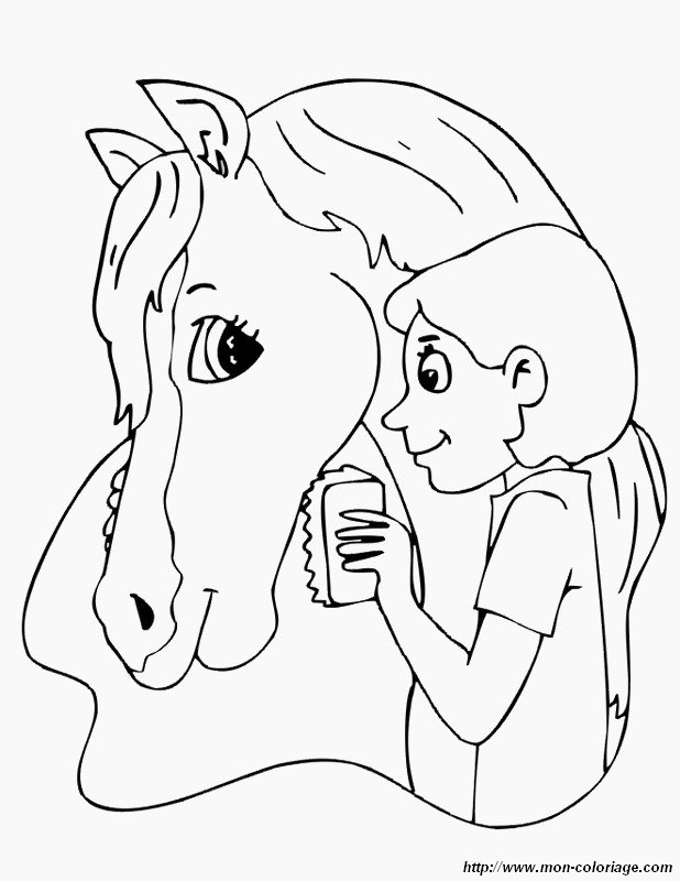picture hammy horse