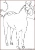 single horse