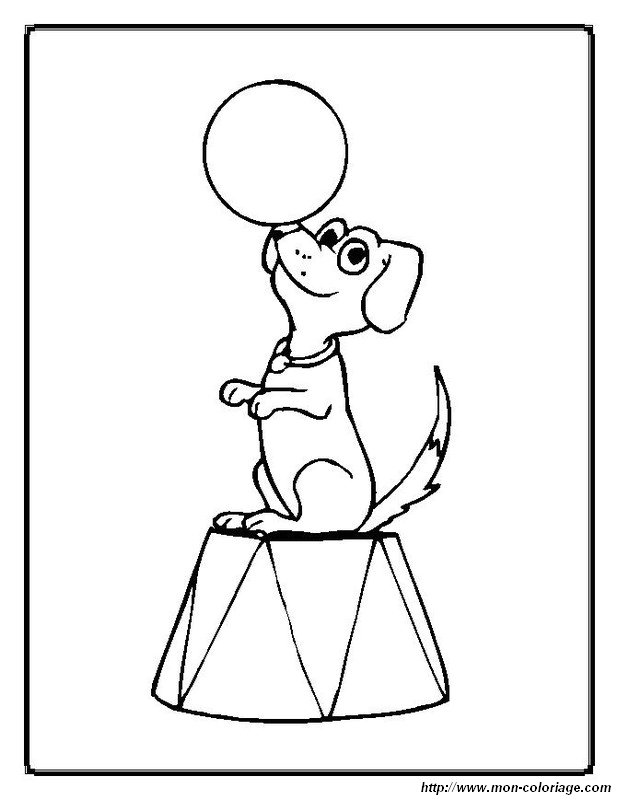 picture dog juggler