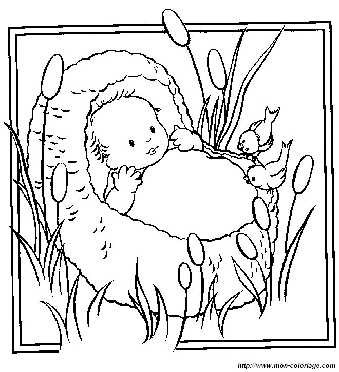 picture bible 24